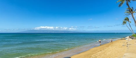 Condo, 1 Bedroom | Beach