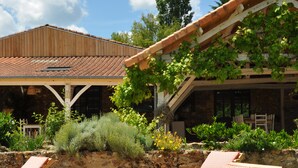 Eine Holzterrasse mit Liegestühlen und einer mit Wein bewachsenen Pergola.