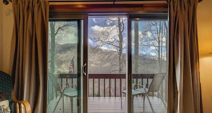 Dog-friendly Cabin 6 Mi to Cataloochee Skiing!