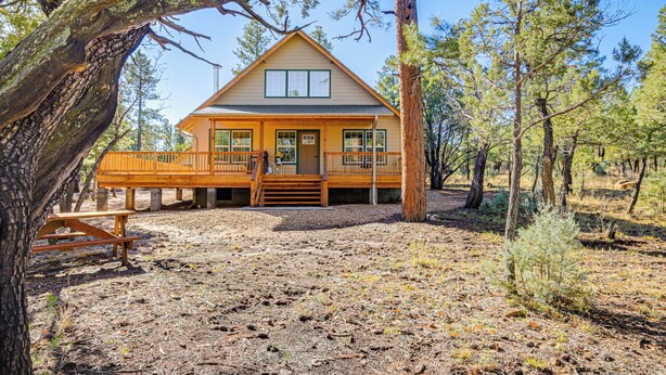 A cabin with a wooden deck, a covered porch, and a gravel driveway. - Pet-friendly Blue Ridge Cabin: Wraparound Deck! (Happy Jack)