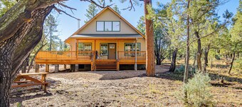 Pet-friendly Blue Ridge Cabin: Wraparound Deck!