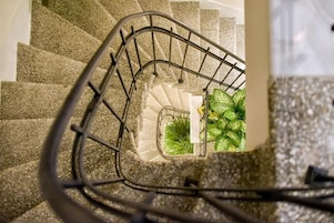 Una escalera de caracol con barandilla de metal y una planta en maceta al pie.