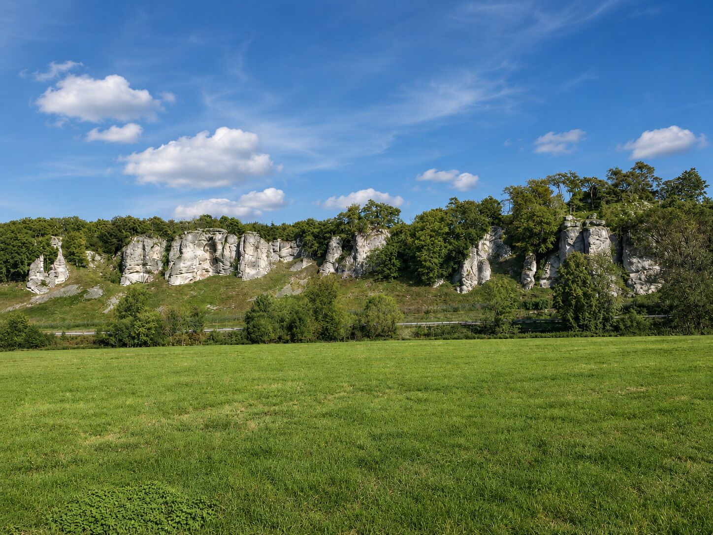 Ein grasbewachsenes Feld mit einer felsigen Felsformation im Hintergrund.