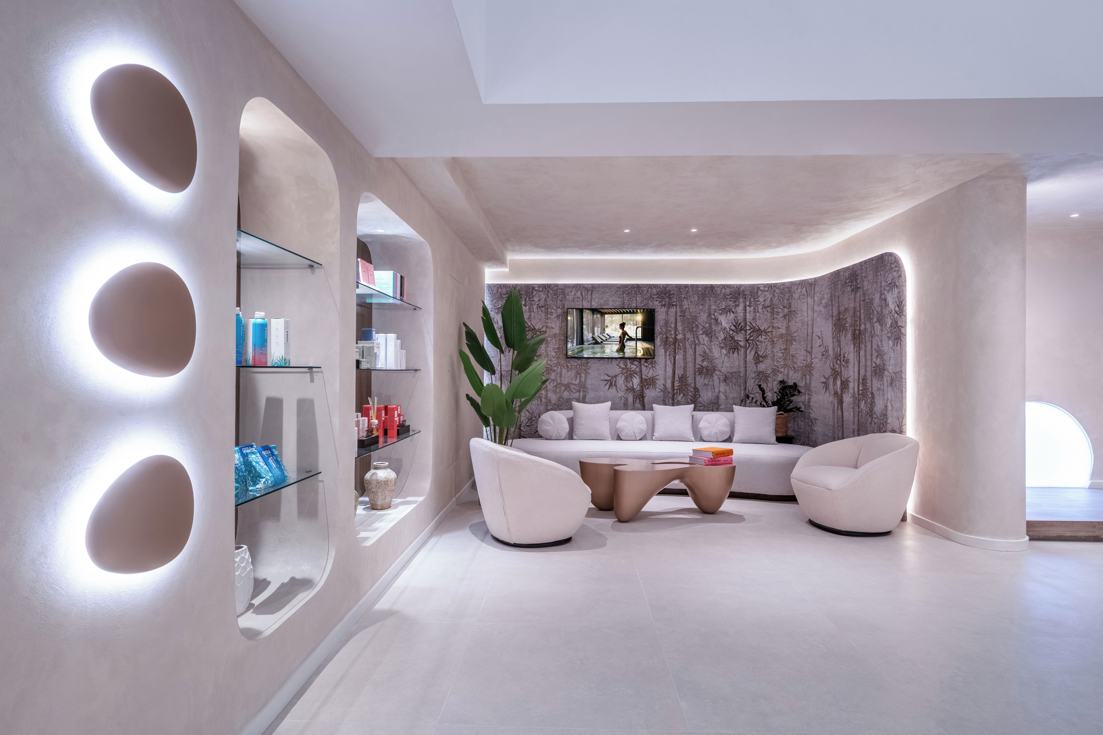 A modern interior with a curved wall, a seating area with a sofa and armchairs, and a large plant.