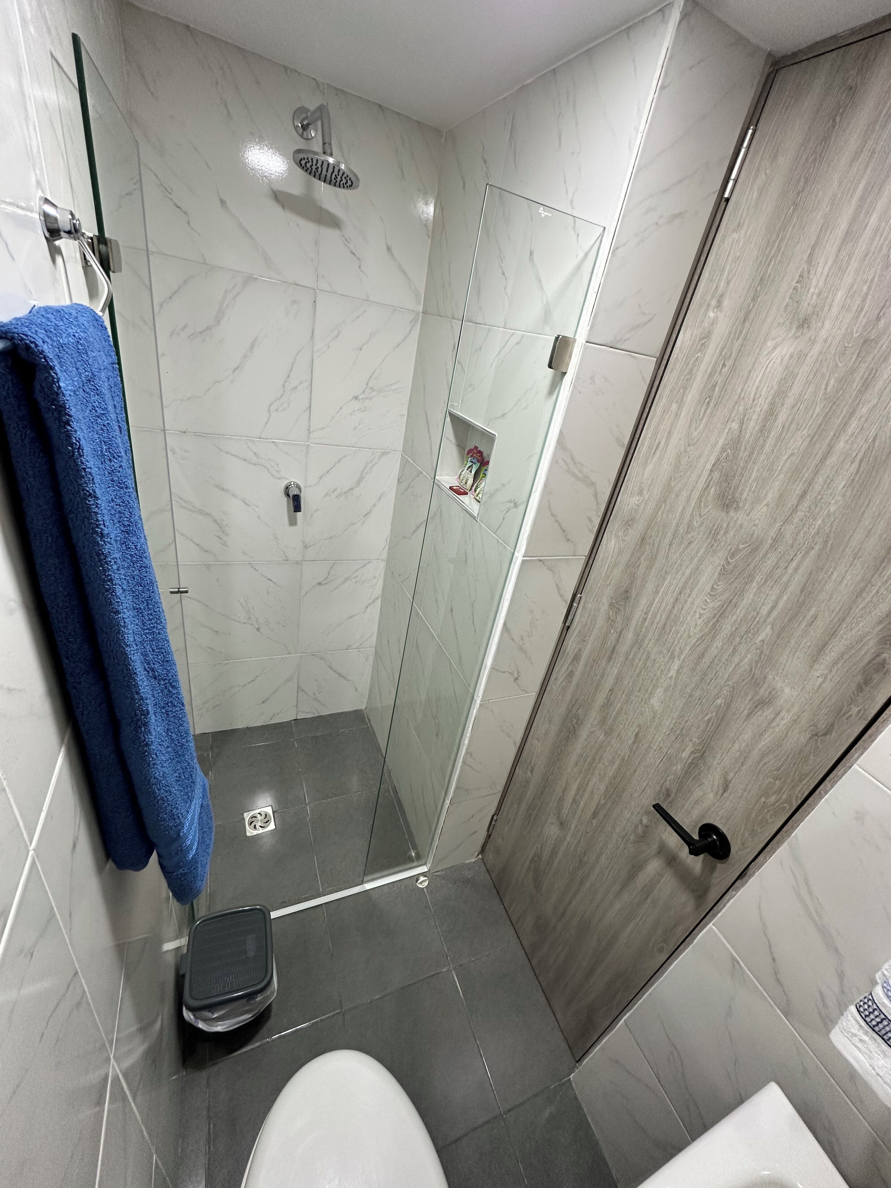 A modern bathroom with a glass shower enclosure, a wooden door, and a blue towel on the wall.