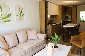 TV, offices - HOM I 2D2B A/A (frío- caliente), Wifi, Lavandería (Santiago)