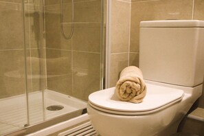 Douche, sèche-cheveux, serviettes fournies, shampoing
