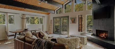 TV, fireplace, video games, stereo