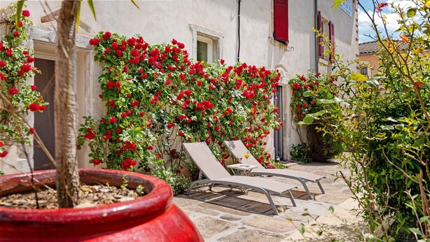 A courtyard with a potted plant, a stone pathway, and two lounge chairs. - Guest Room “La Drosera - Room No.6” with Shared Terrace, Garden & Wi-Fi (Riols)