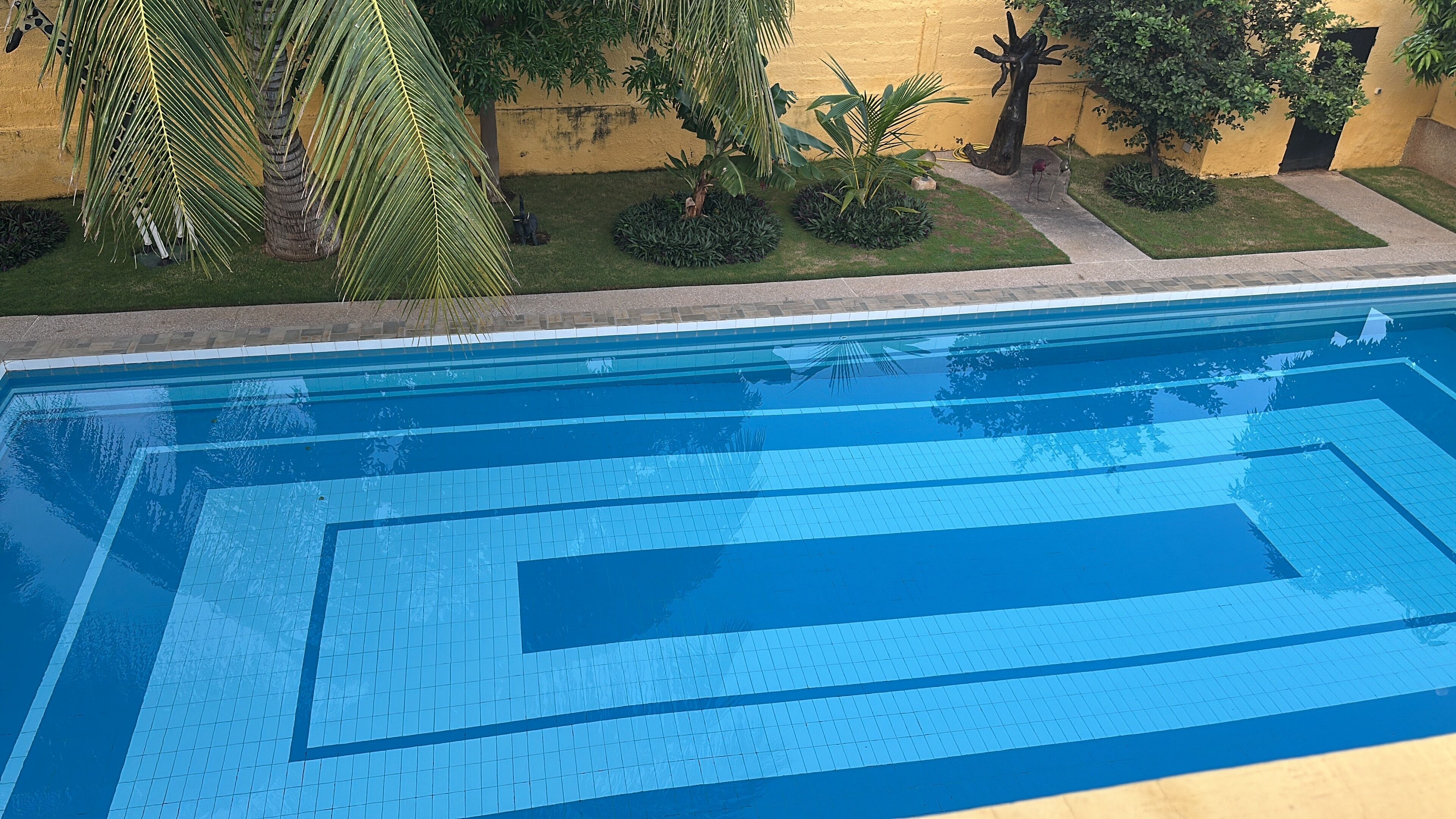 حمّام سباحة خارجي