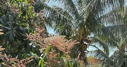 Charming studio 2 for rent in SALY with swimming pool near Safari beach