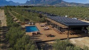 A resort with a swimming pool, sun loungers, a covered patio, and solar panels. - Olijvenkraal Winelands Lodge (Paarl)