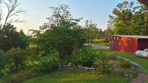 Eine ländliche Landschaft mit einem roten Bauernhaus, einem Schotterweg und  üppigem Grün.