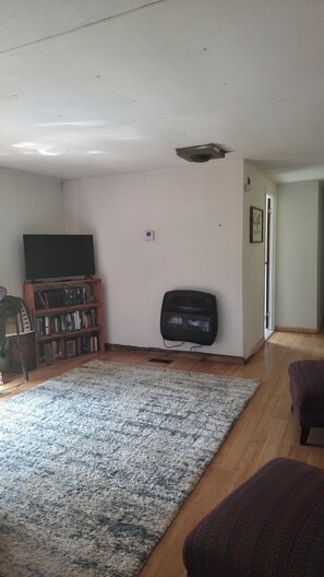 A living room with a flat-screen TV, a bookshelf, a standing heater, and a patterned rug.