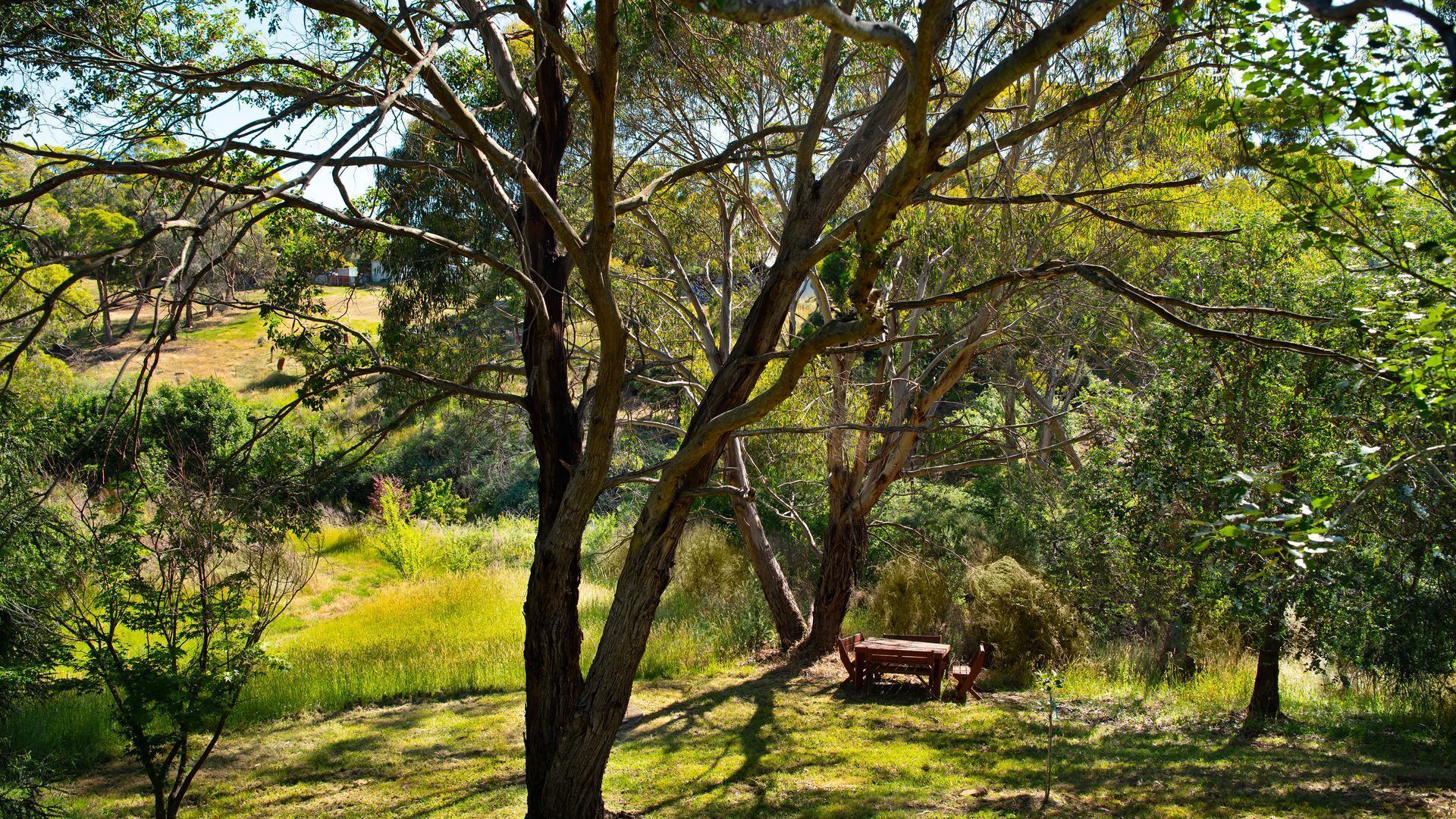 Áreas de la propiedad