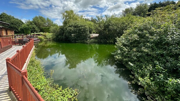 A wooden deck with a view of a calm river and lush greenery. - Kingfisher Cosy Lakeside Lodge (Carnforth)