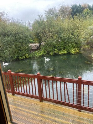 Property grounds - Kingfisher Cosy Lakeside Lodge (Carnforth)