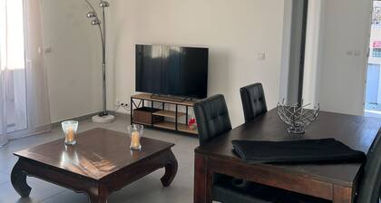 magnifique maison individuelle