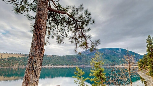 Um lago com uma montanha ao fundo, uma árvore em primeiro plano e um guarda-corpo de madeira.