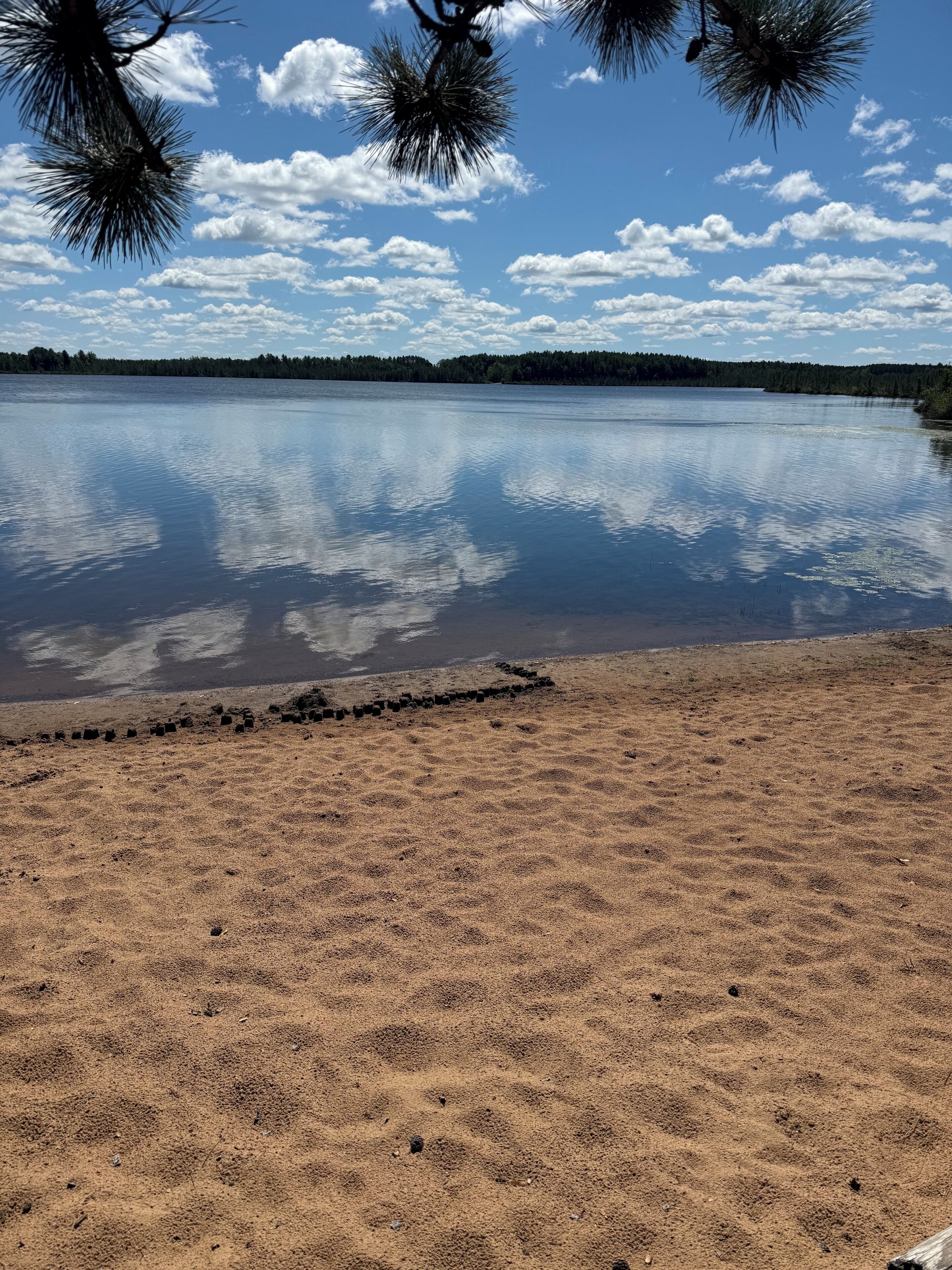 A beach with a calm lake, sandy shore, and pine trees in the background.