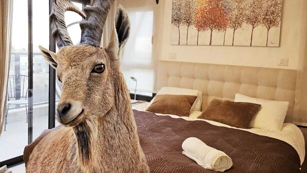Kamelin päätä esittävä patsas hotellihuoneessa, jossa on suuri sänky, puita kuvaava maalaus ja riippuvalaisin.