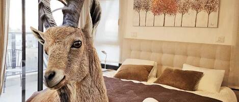 Free WiFi, bed sheets, wheelchair access