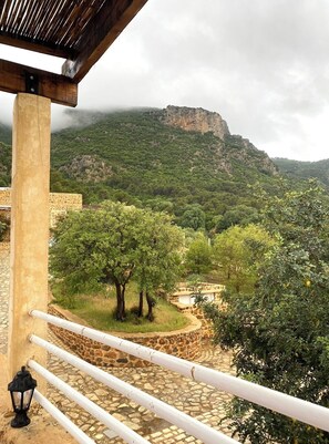 View from property - Dar Nesri (Zaghouan)