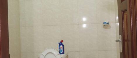 A small, clean bathroom with a toilet, a shower, and a sink.