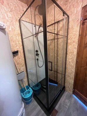 A glass-enclosed shower with a handheld showerhead, a toilet, and a blue cleaning bucket.
