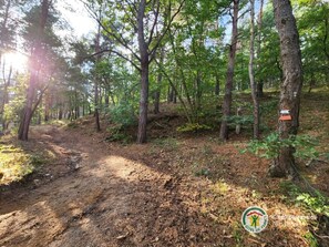 Miscellaneous - Aventura Lodge - Comfortable camping in the heart of nature (Satillieu)