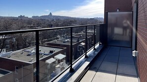 Terraza en la azotea con balaustrada de vidrio que ofrece vistas a un paisaje urbano, incluyendo un edificio con cúpula destacada en la distancia.