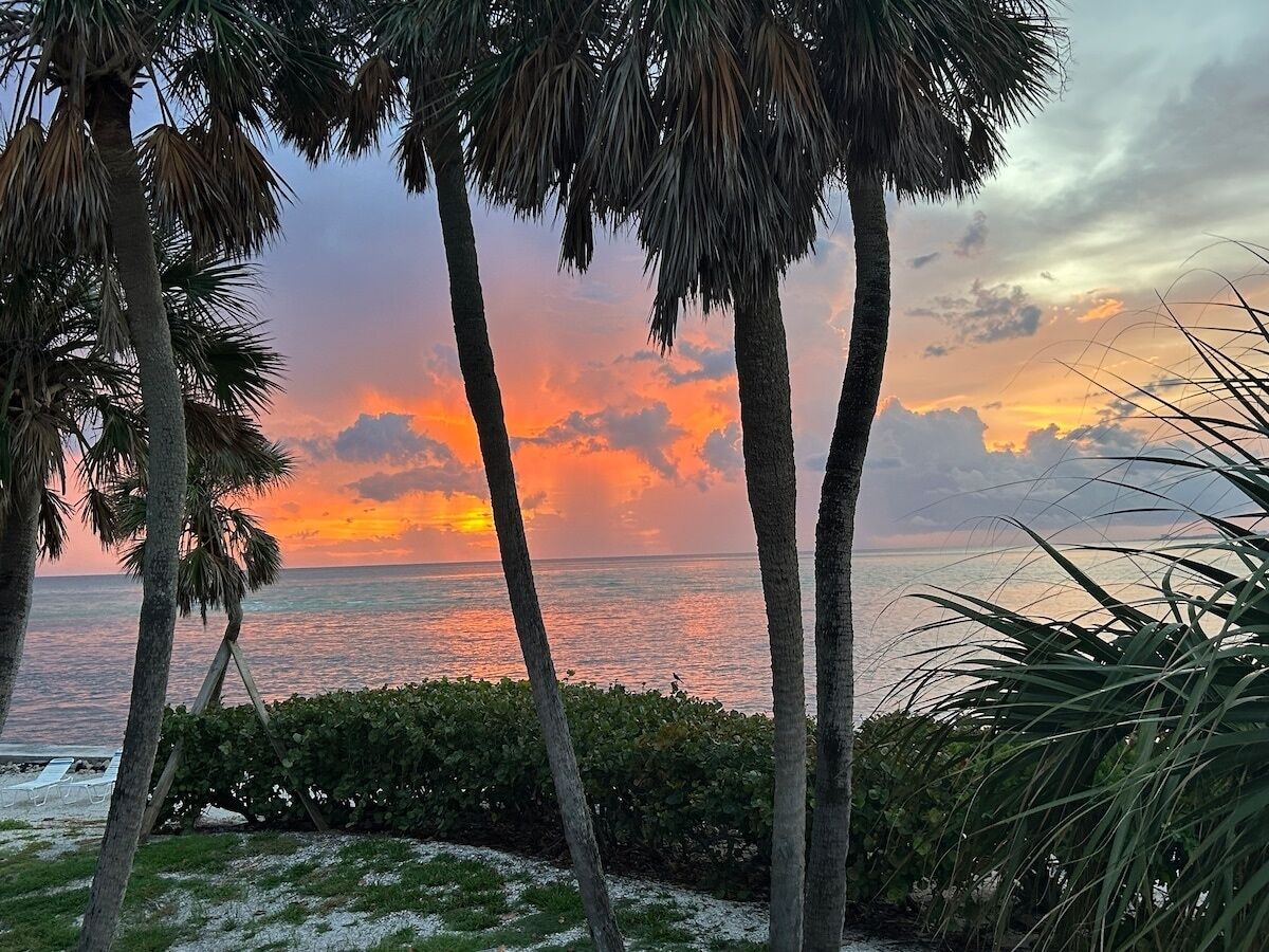 بالقرب من الشاطئ