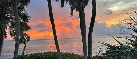 بالقرب من الشاطئ