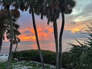 Vista de la puesta de sol con palmeras y una playa.