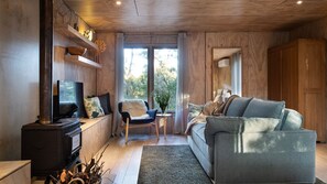 TV connectée, cheminée, chaîne hi-fi