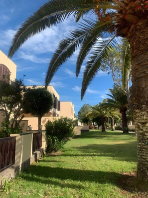 Terrein van de accommodatie