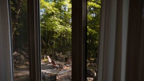 Blick durch ein Fenster auf ein bewaldetes Gebiet mit einem Stuhl und Felsen.
