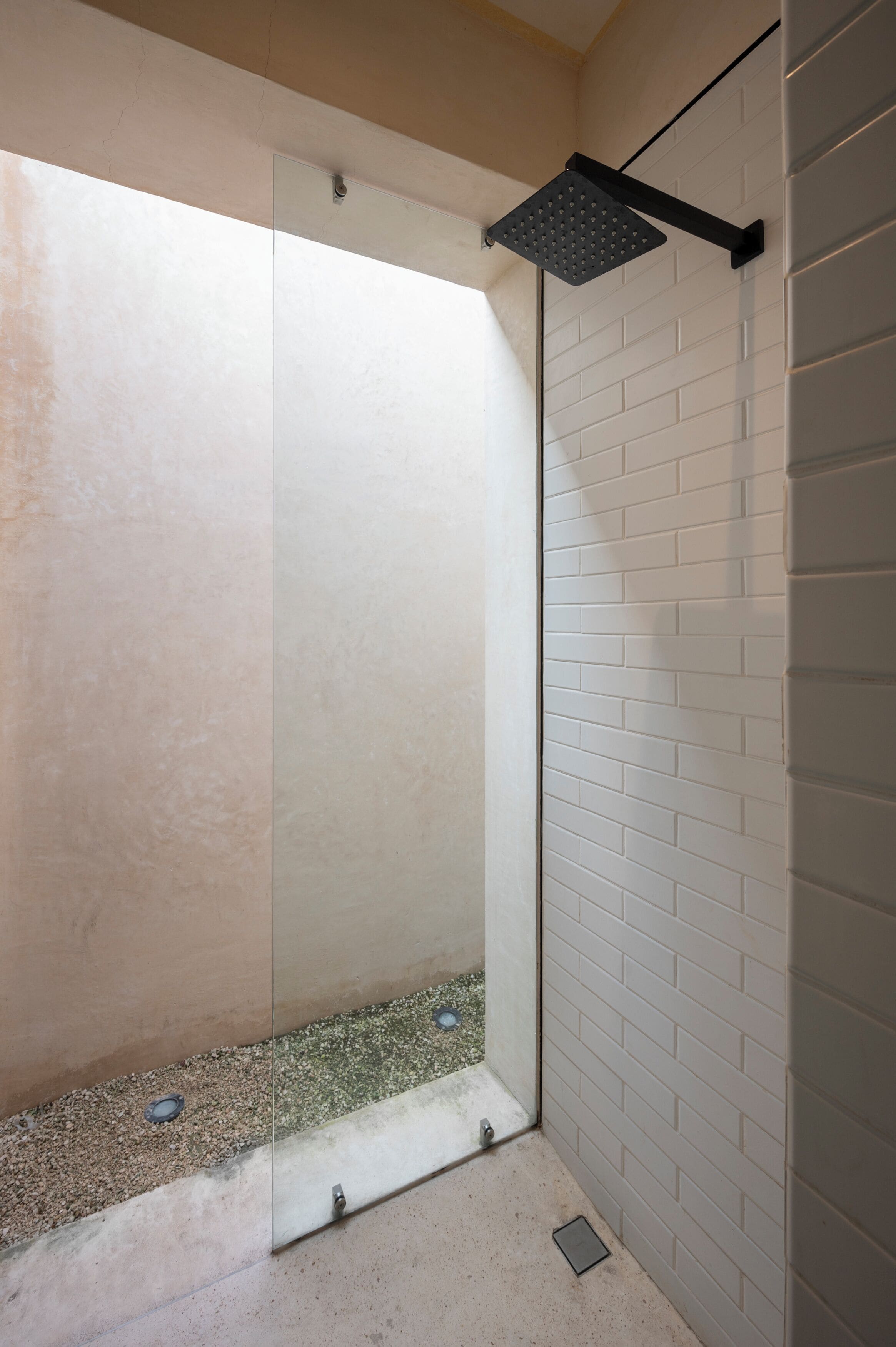 Shower, towels, toilet paper