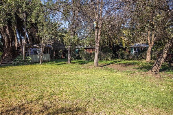 A residential area with a grassy yard, trees, and a small wooden structure. - Lodge Los Naranjos de Mallarauco  (Melipilla)