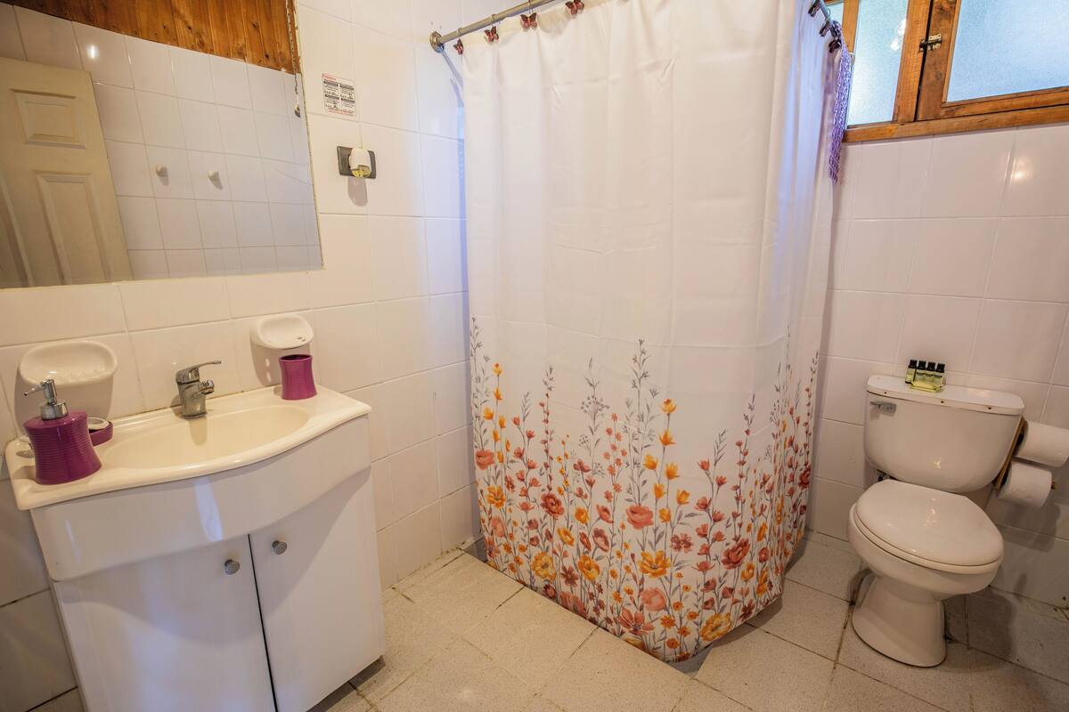 Regadera, toallas, jabón, shampoo