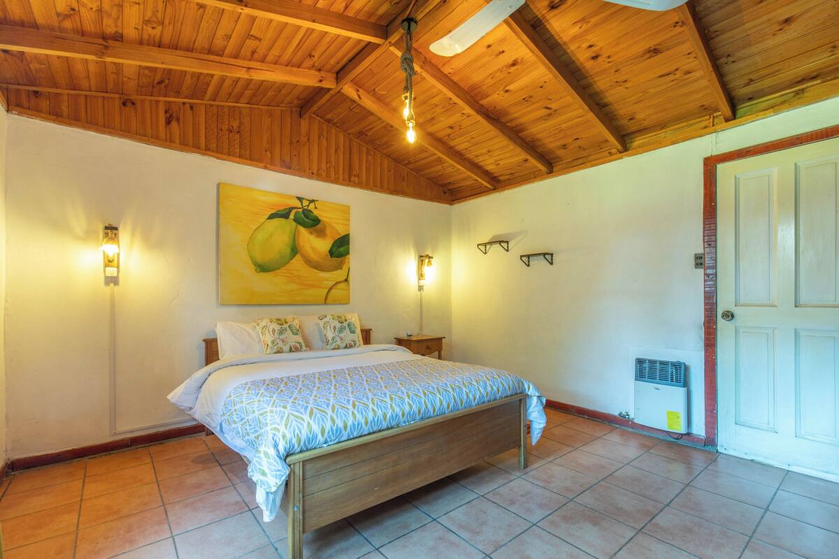 Habitación básica doble, vista al patio | Wifi gratis