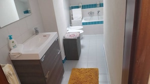 Shower, hair dryer, bidet, towels
