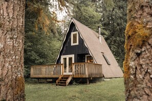 Exterior - Mt Baker A-Frame | Pet-Friendly | Mountain Views (Deming)