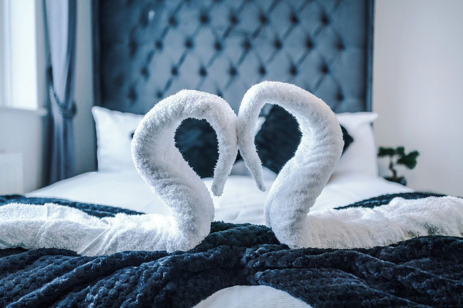 A bed with a dark blue blanket and a white pillow.