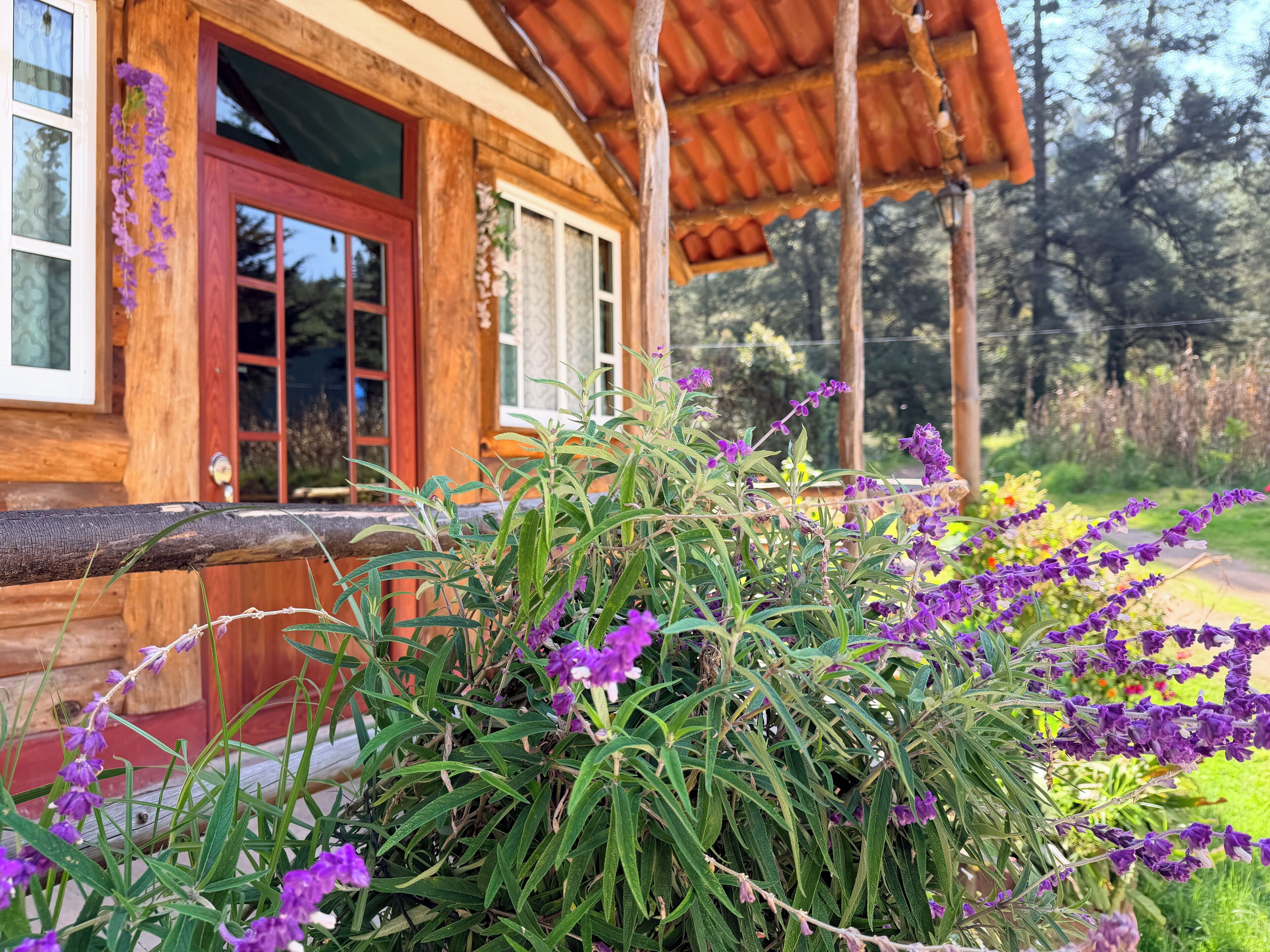 Traditional Cabin, Patio, Mountain View | Down comforters, free WiFi, bed sheets