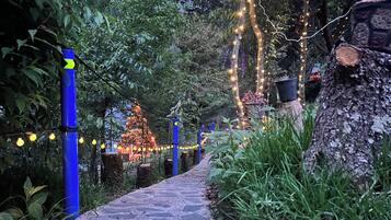 A pathway lined with trees and illuminated by string lights, leading to a decorated Christmas tree.