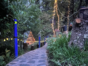 A pathway lined with trees and illuminated by string lights, leading to a decorated Christmas tree. - Cabañas D Güereo By GEstores (Mineral del Chico)
