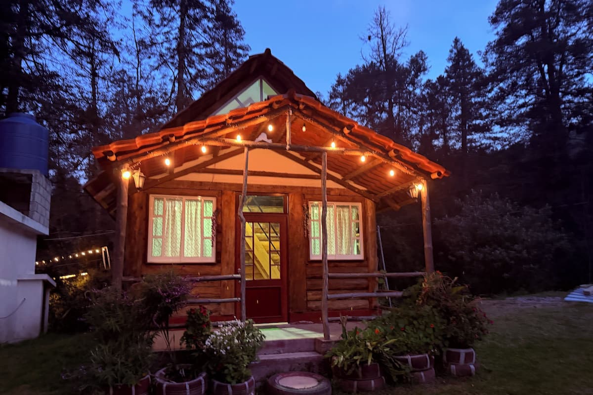 Una cabaña rústica con fachada de madera, un porche con luces colgantes y plantas en macetas alrededor de la entrada.