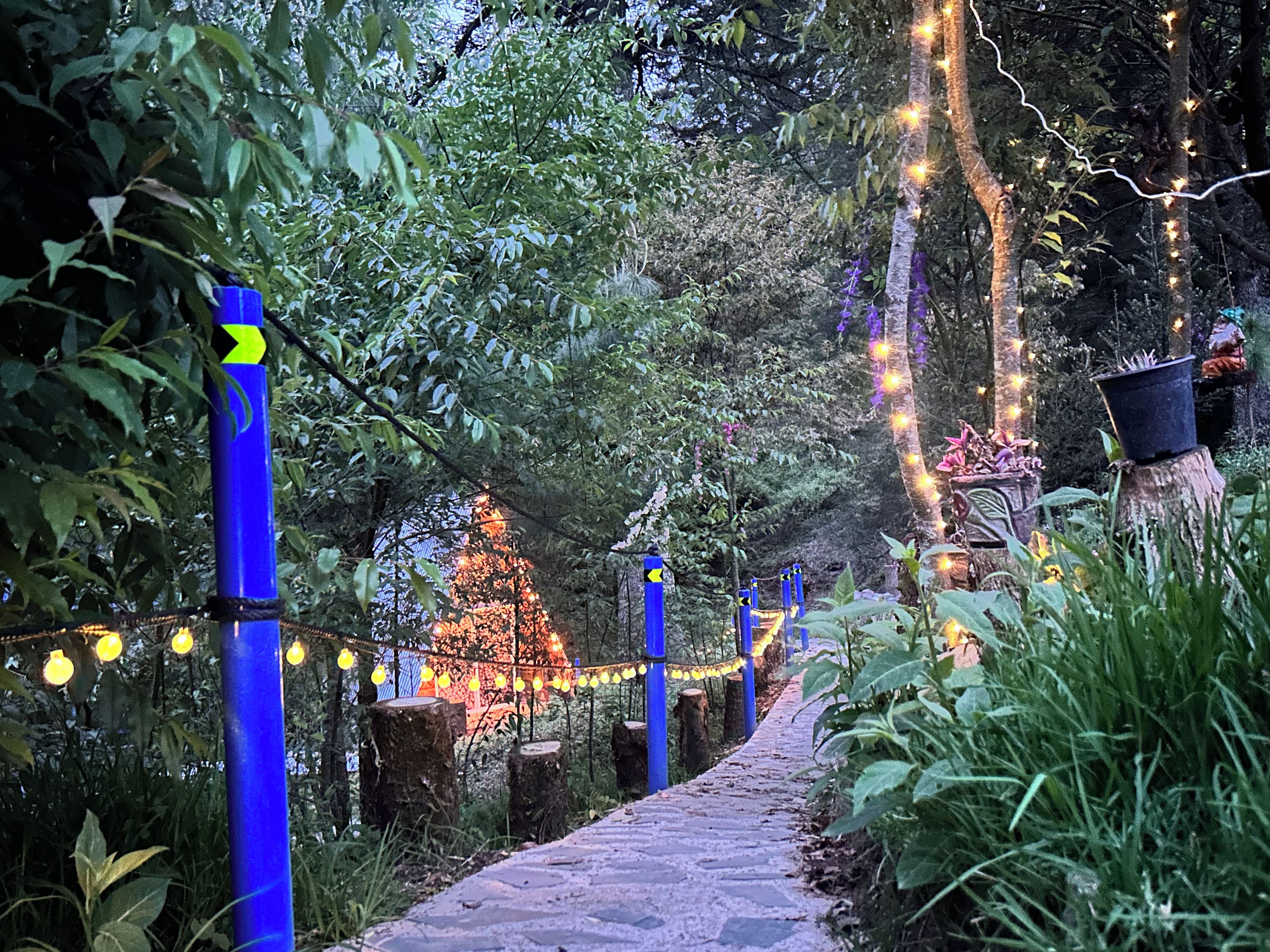 Un sendero bordeado por postes azules y luces de cuerda, que atraviesa un jardín con árboles y plantas.
