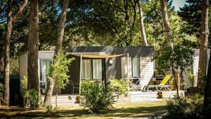 Eine moderne Holzhütte mit überdachter Terrasse, umgeben von Bäumen.